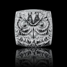 Lade das Bild in den Galerie-Viewer, OWL TAG Silber