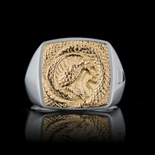 Lade das Bild in den Galerie-Viewer, TYPAR Silber x VIPER TAG Gold